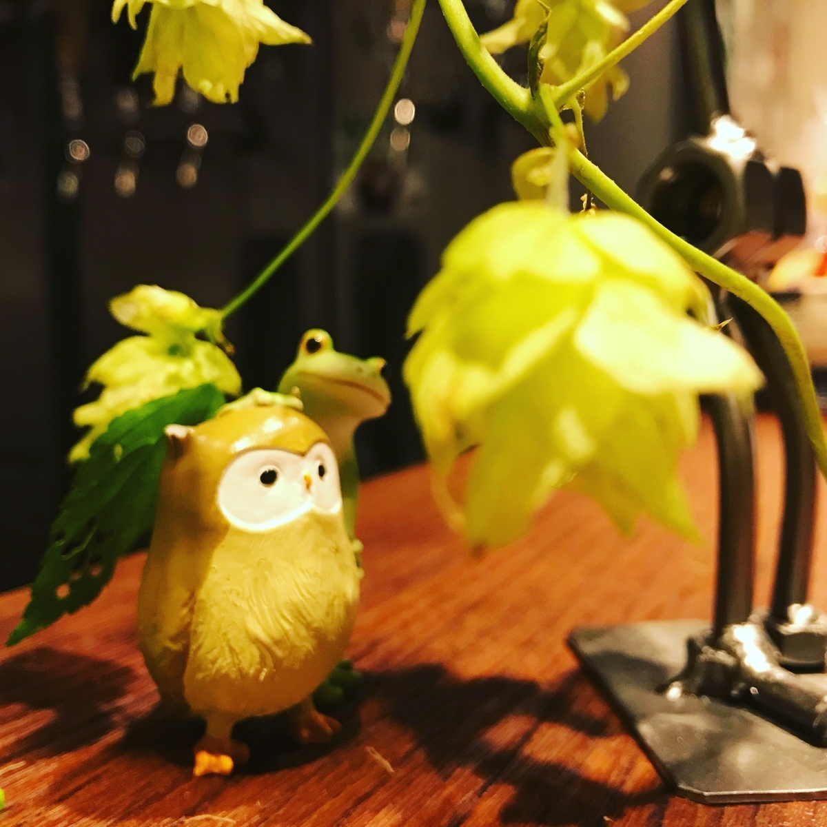 f:id:CraftbeerPROST:20190708002929j:plain