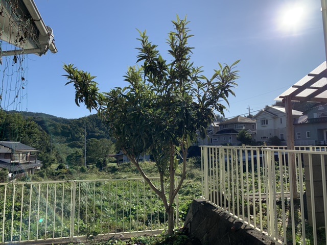 f:id:CraftbeerPROST:20191023122340j:plain f:id:CraftbeerPROST:20191023122340j:plain