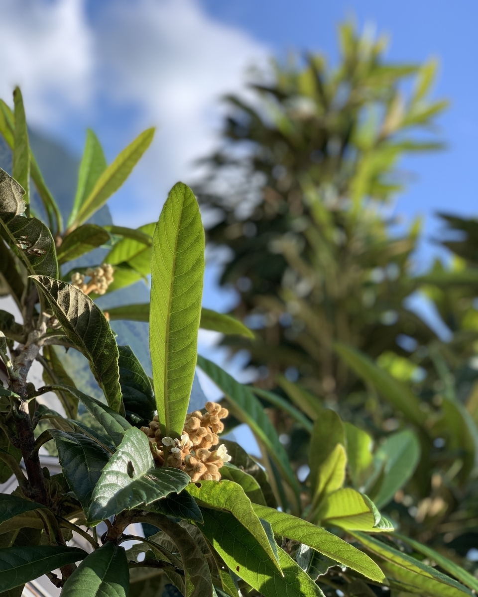 f:id:CraftbeerPROST:20201014100655j:plain f:id:CraftbeerPROST:20201014100655j:plain