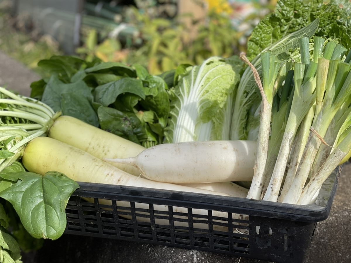 f:id:CraftbeerPROST:20211129171906j:plain