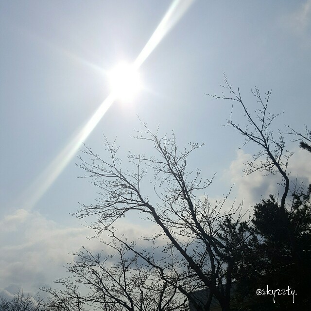 f:id:Crane221083:20170328122043j:image f:id:Crane221083:20170328122043j:image