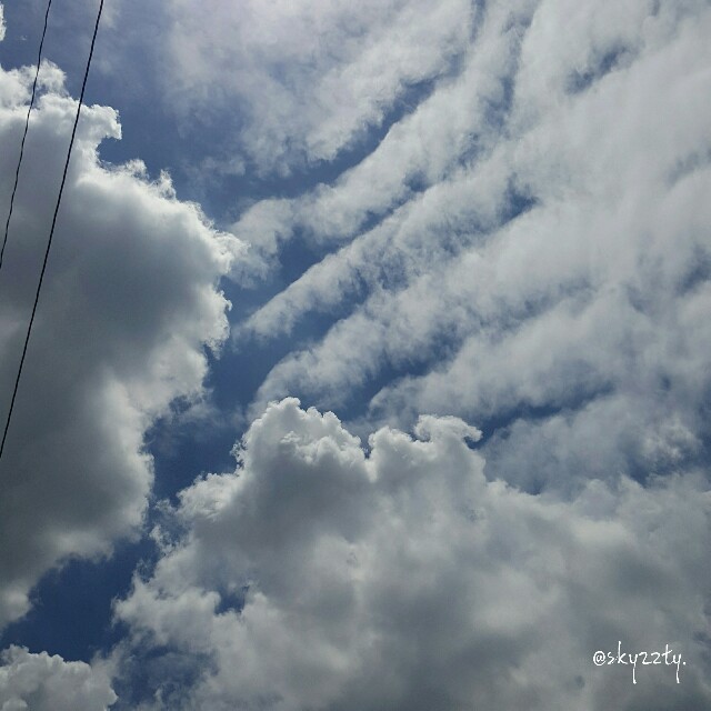 f:id:Crane221083:20170601194158j:image f:id:Crane221083:20170601194158j:image