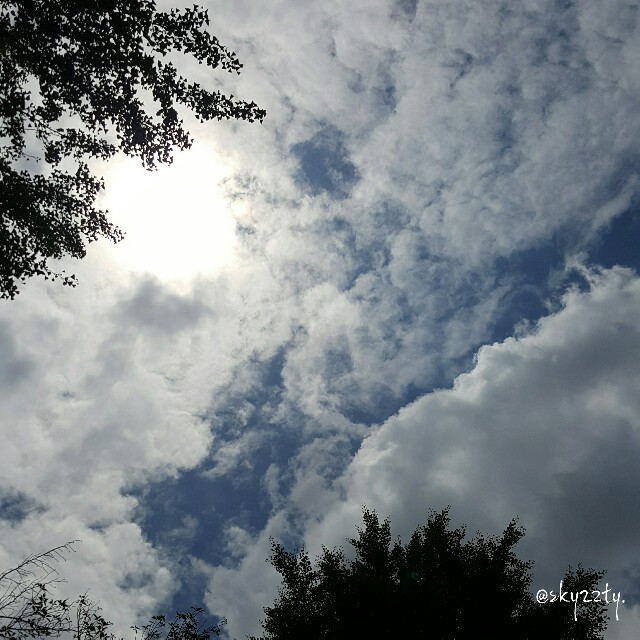 f:id:Crane221083:20170601194208j:image f:id:Crane221083:20170601194208j:image