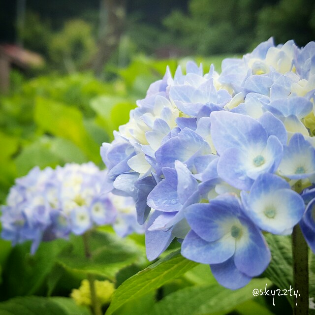 f:id:Crane221083:20170608080030j:image f:id:Crane221083:20170608080030j:image