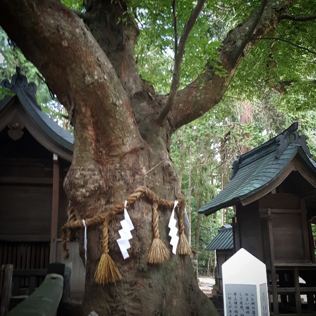f:id:Crane221083:20170828180634j:image