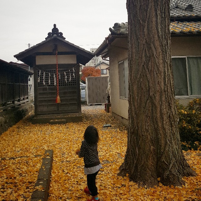 f:id:Crane221083:20171130212058j:image f:id:Crane221083:20171130212058j:image