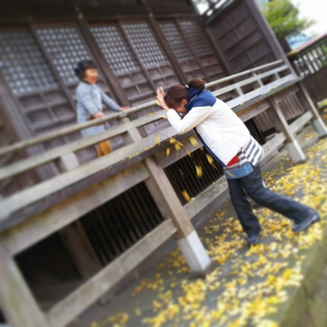 f:id:Crane221083:20171130212355j:image f:id:Crane221083:20171130212355j:image