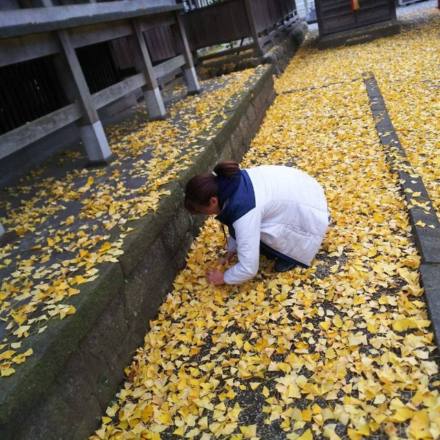 f:id:Crane221083:20171130212405j:image f:id:Crane221083:20171130212405j:image