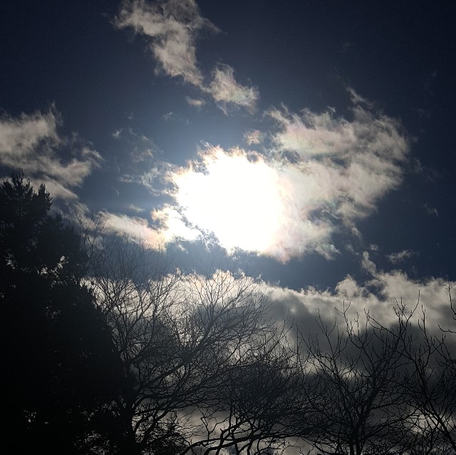 f:id:Crane221083:20180106222818j:image f:id:Crane221083:20180106222818j:image