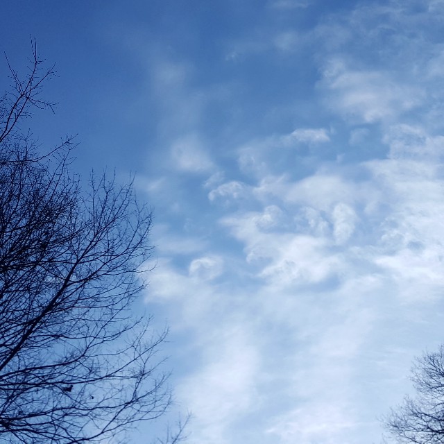 f:id:Crane221083:20180218220802j:image