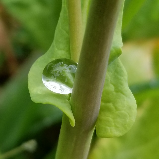 f:id:Crane221083:20180310111826j:image