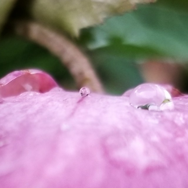 f:id:Crane221083:20180310111833j:image