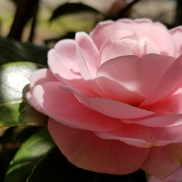 f:id:Crane221083:20180324085241j:image