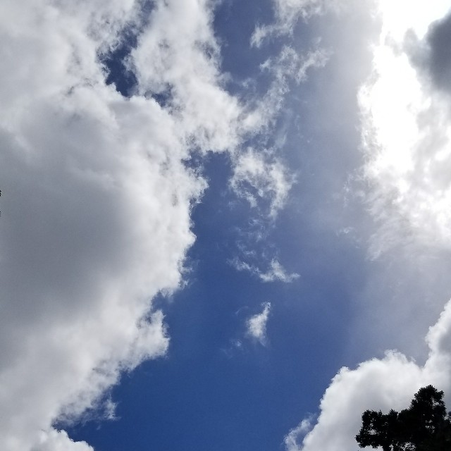 f:id:Crane221083:20180420171227j:image f:id:Crane221083:20180420171227j:image