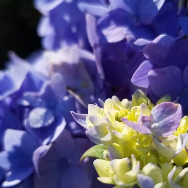 f:id:Crane221083:20180603083447j:image