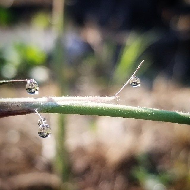 f:id:Crane221083:20180603083518j:image