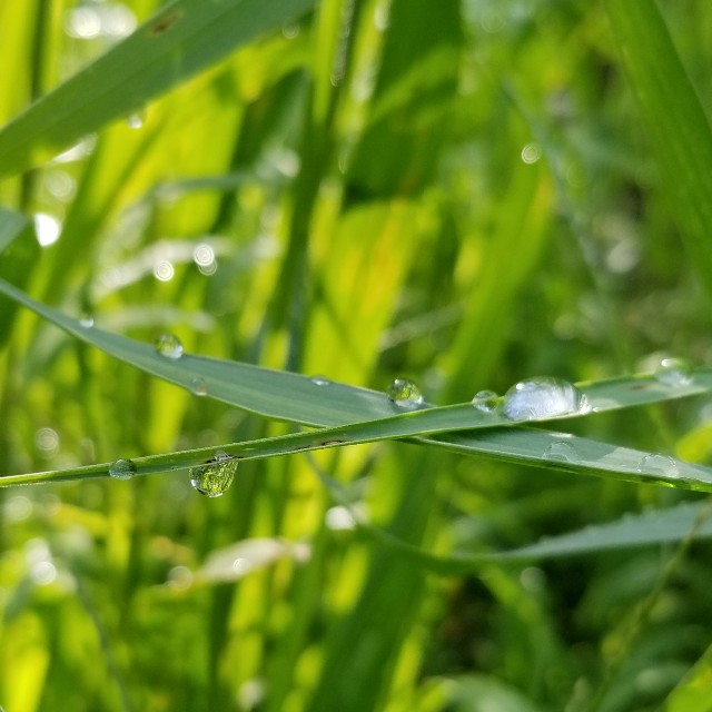 f:id:Crane221083:20180710202409j:image