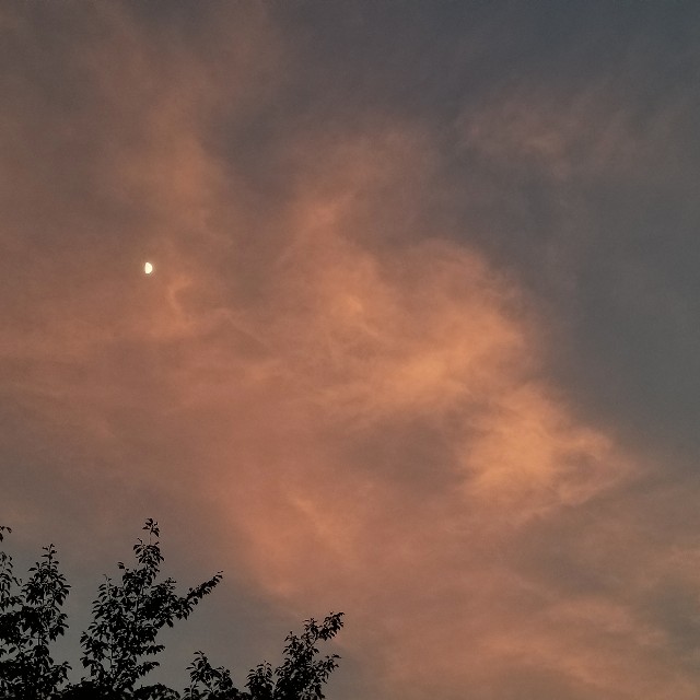 f:id:Crane221083:20180722101812j:image