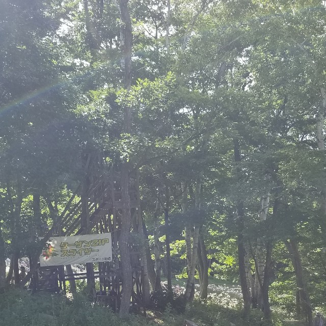 f:id:Crane221083:20180729110213j:image f:id:Crane221083:20180729110213j:image