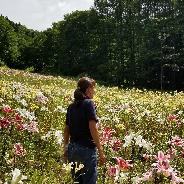 f:id:Crane221083:20180729112448j:image f:id:Crane221083:20180729112448j:image