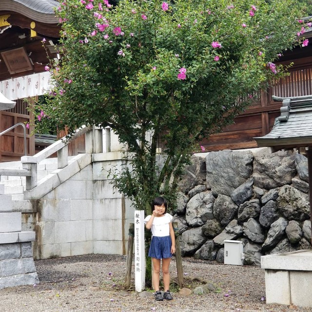 f:id:Crane221083:20180902131137j:image
