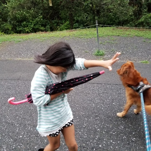 f:id:Crane221083:20180904211110j:image f:id:Crane221083:20180904211110j:image