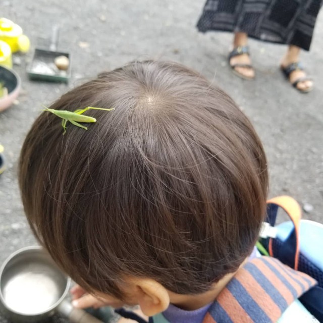 f:id:Crane221083:20180915083251j:image