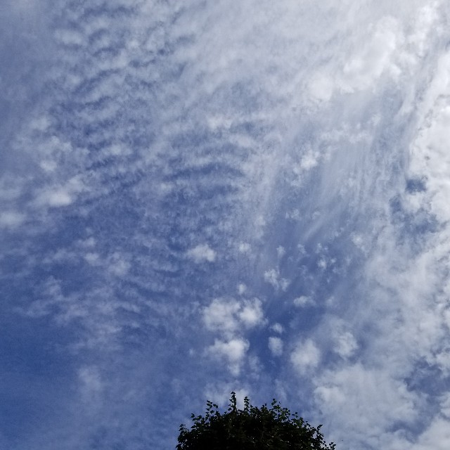 f:id:Crane221083:20180915084802j:image
