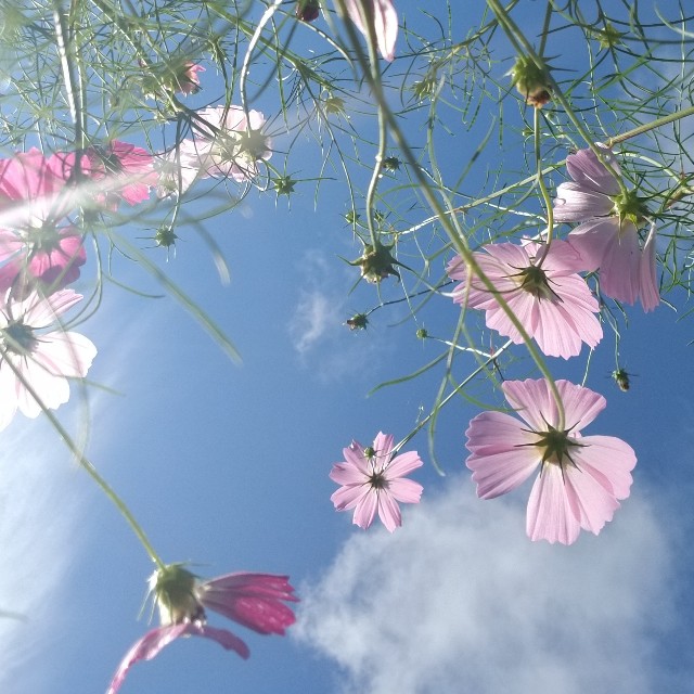 f:id:Crane221083:20180916084829j:image