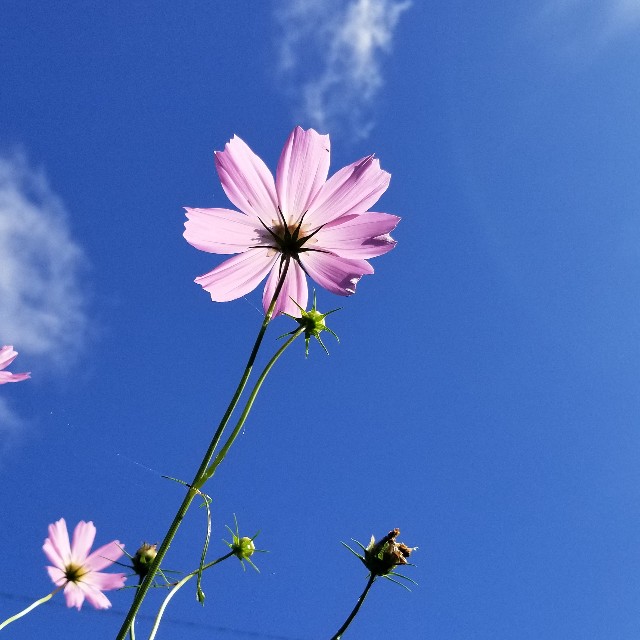 f:id:Crane221083:20180916084837j:image