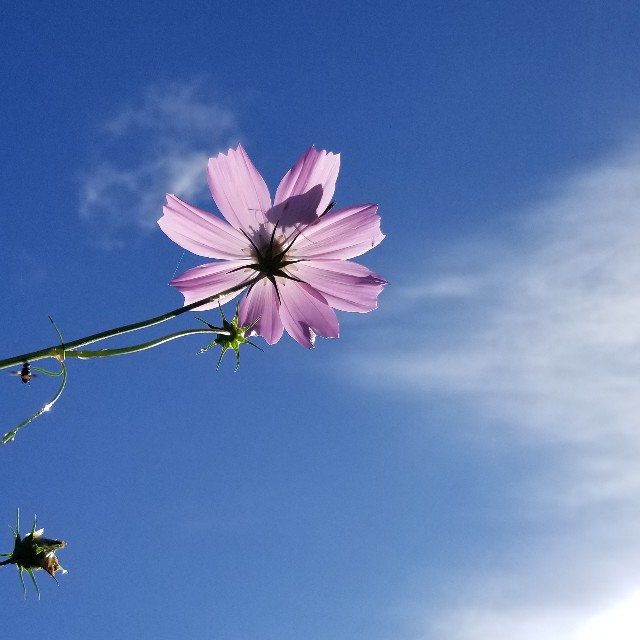 f:id:Crane221083:20180916084845j:image