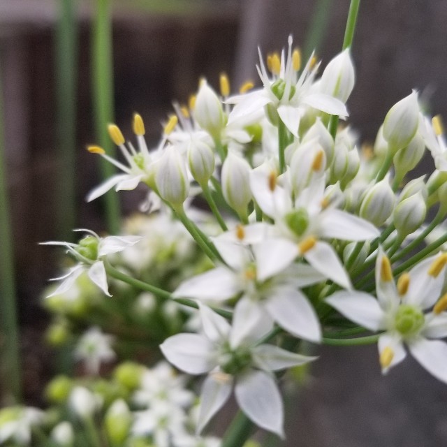 f:id:Crane221083:20180916085029j:image