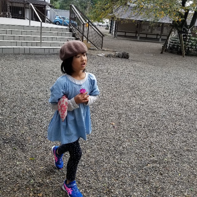 f:id:Crane221083:20181007071344j:image f:id:Crane221083:20181007071344j:image