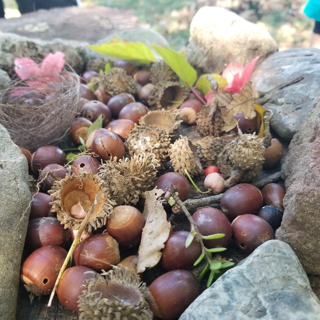 f:id:Crane221083:20181030212416j:image