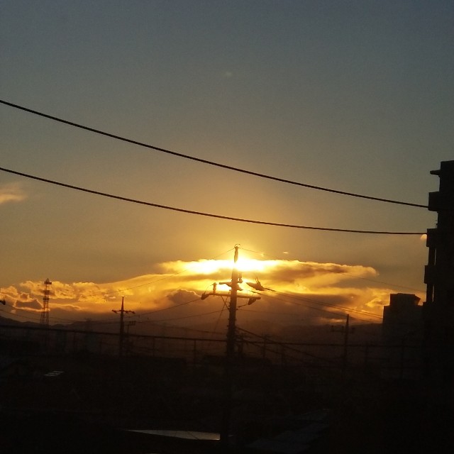f:id:Crane221083:20190127072214j:image f:id:Crane221083:20190127072214j:image