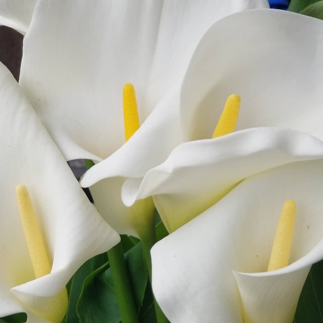 f:id:Crane221083:20190518100943j:image