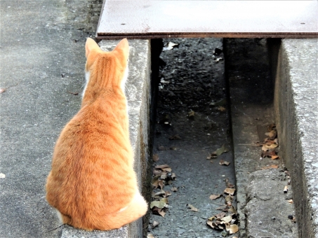 f:id:CreativeField:20180915163206j:plain