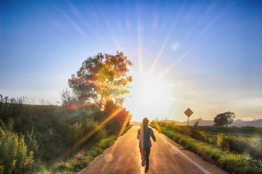 f:id:CreativeField:20181224230708j:plain f:id:CreativeField:20181224230708j:plain