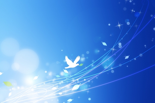 f:id:CreativeField:20190126232715j:plain