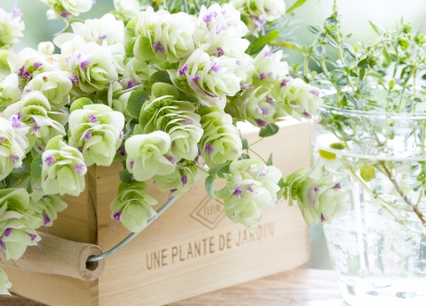 f:id:CreativeField:20190227214721j:plain