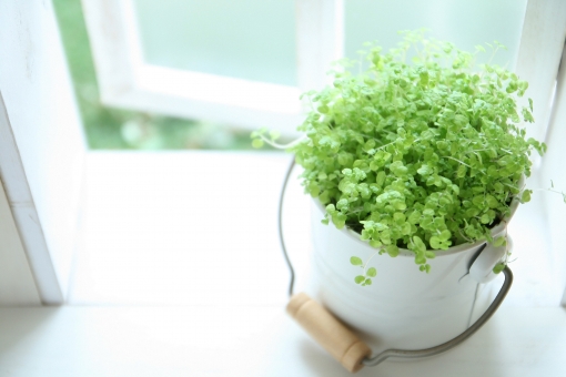 f:id:CreativeField:20190513225605j:plain f:id:CreativeField:20190513225605j:plain