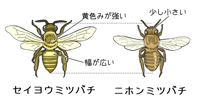 f:id:CreativeWriting:20200820012556j:plain