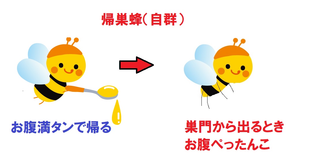 f:id:CreativeWriting:20200923225634j:plain