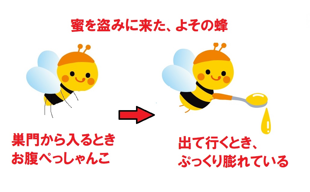 f:id:CreativeWriting:20200923225715j:plain