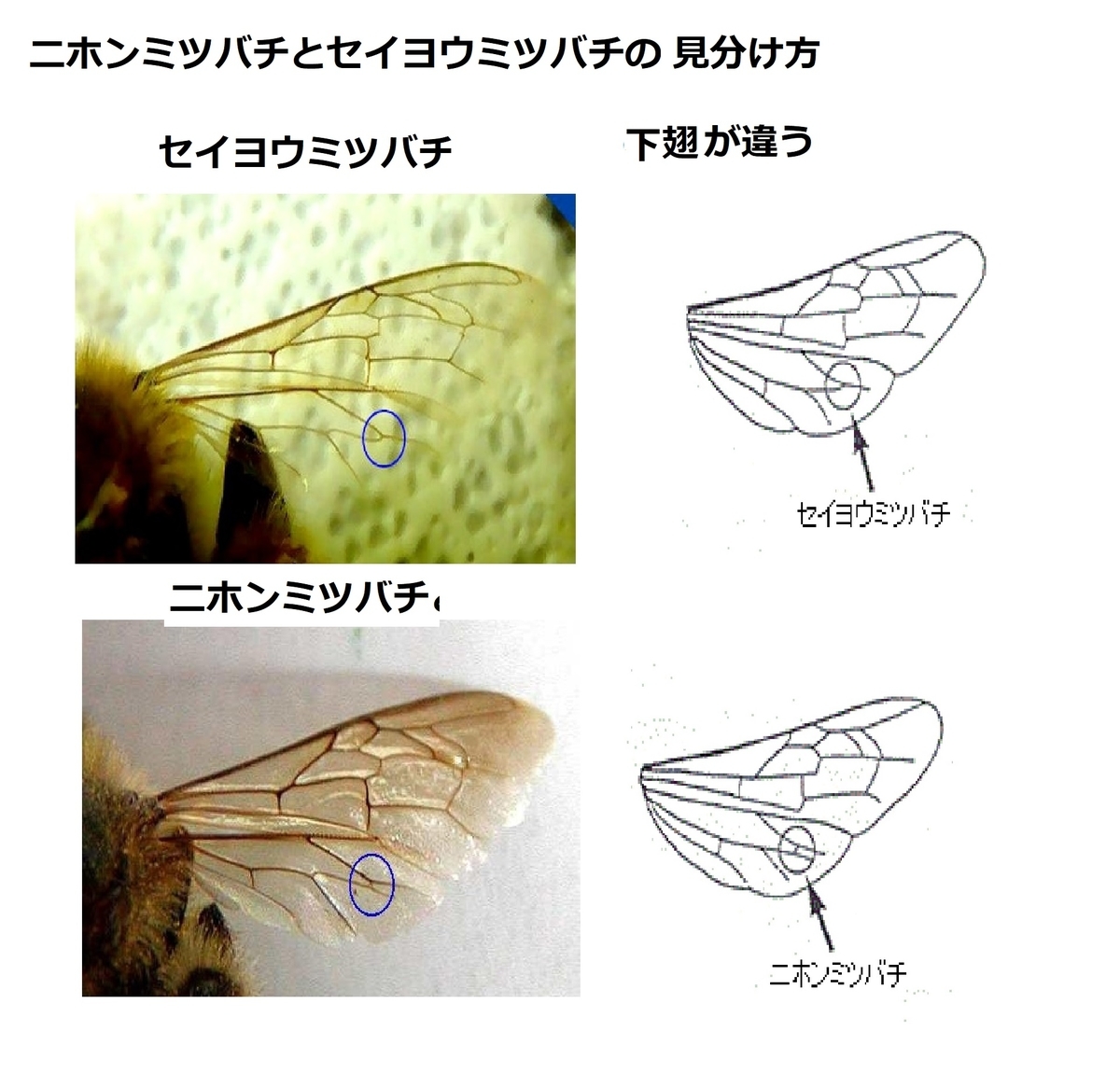 f:id:CreativeWriting:20200924201548j:plain