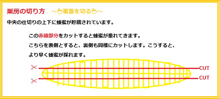 f:id:CreativeWriting:20220101154731j:plain