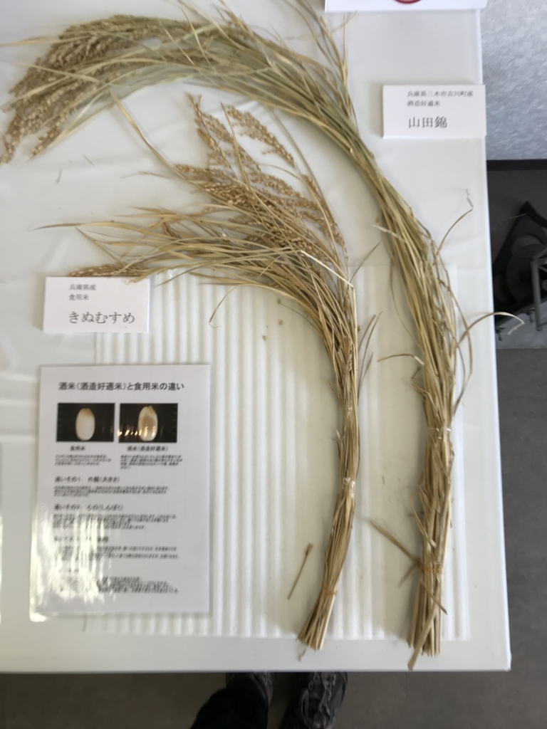 f:id:Croissantlune:20180220093626j:plain f:id:Croissantlune:20180220093626j:plain