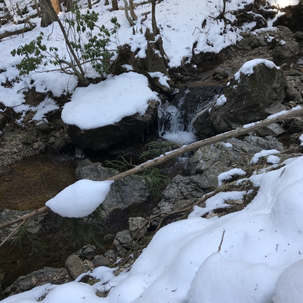 f:id:Croissantlune:20180220103226j:plain f:id:Croissantlune:20180220103226j:plain