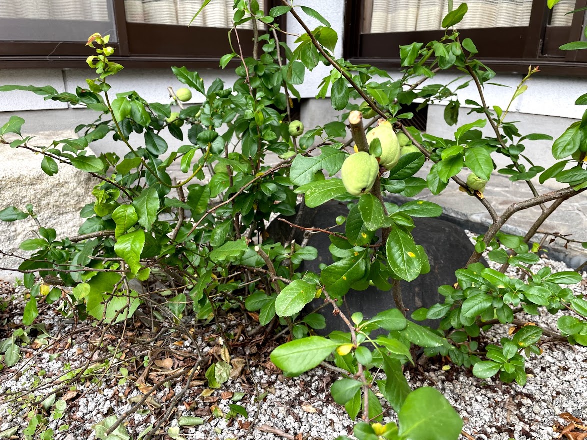 f:id:Croquis009:20210526171949j:plain