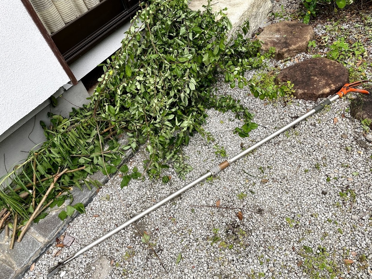 f:id:Croquis009:20210526172025j:plain